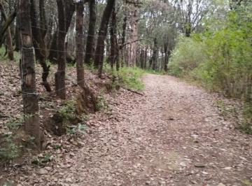 Terreno / Lote · 29000m² · Precio de Oportunidad P/constructores, Venta Terreno Jilotzingo