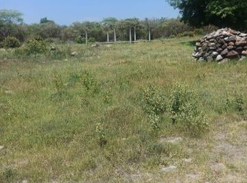 Terreno / Lote , Tetecala · Se Venden 13 Ha en Morelos