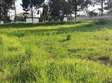Terreno / Lote , Yauhquemecan · Terreno - San Dionisio Yauhquemehcan