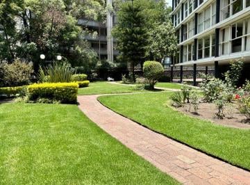 Departamento de 4 habitaciones, Miguel Hidalgo · Estupendo Departamento Sobre Palmas, a 500 m de Polanco