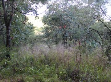 Terreno / Lote en Venta  San José Buenavista · Terreno Arbolado en Venta, Rodeado de Bosque, 15 Km en El Sur de San Cristobal