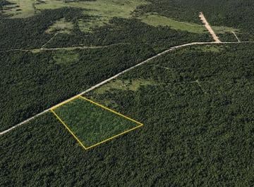 1 · Terreno en Venta en Yaxkukul, Yucatán.