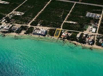 1 · Terreno en Venta en Primera Fila en La Playa de San Benito, Dzemul, yuc.(Km²1.5)