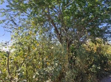 Terreno / Lote , Tala · Terreno en Venta en El Refugio, Tala