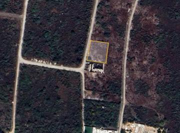 1 · Terreno (S) en Venta en Tixcuytun