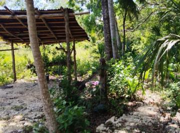 Terreno / Lote , Tenabo · Venta de 4 Ha