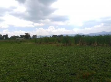 Terreno / Lote · 2158m² · Terreno en Venta en Colonia Guadalupe, San Mateo Atenco, México.