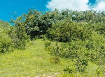 Terreno / Lote · 15000m² · Tereno 15ooo m² Certificado Parcelario, Cuspala, Tala, Jal.