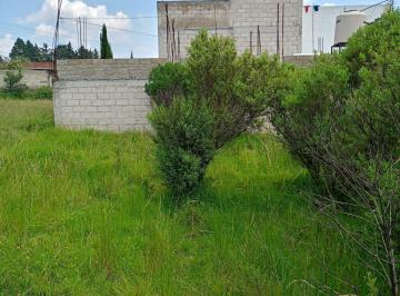 Terreno / Lote · 173m² · Terreno en Venta en Ocoyoacac, México