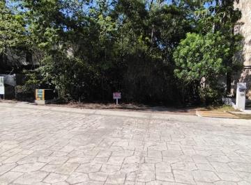 Vista frontal del terreno · Lote en Senderos de Mayakoba Trato Directo