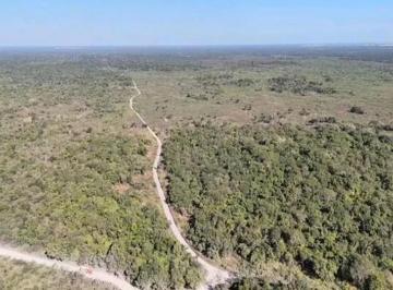 Terreno / Lote · 320000m² · Terreno en Umán