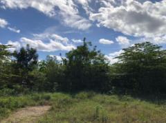 Terreno / Lote · 134752m² · Terreno en Venta en Cancún