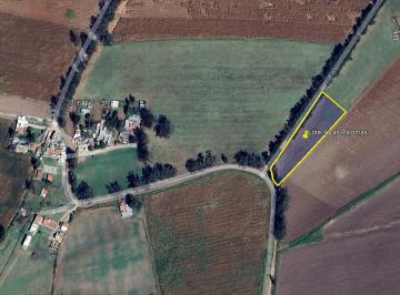 Terreno / Lote 5000m² Venta  · Terreno en Venta, Las Palomas, Tototlán | Ctv - Op284