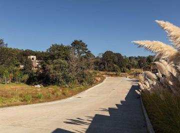 Terreno / Lote en Venta Los Alcanfores · Residencial Privado Al Interior de Cerro Colibrí