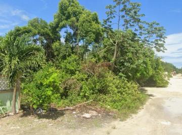 Terreno / Lote , Solidaridad · Terreno en Venta en Cristo Rey