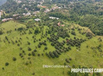 Rancho · 540000m² · 54 Hectáreas Para Inversión en Xicotepec