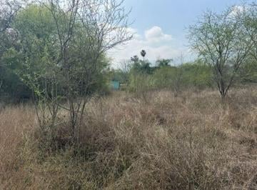 Terreno / Lote en Venta  El Pastor · Terreno 10260 m en Venta en El Pastor, Montemorelos.