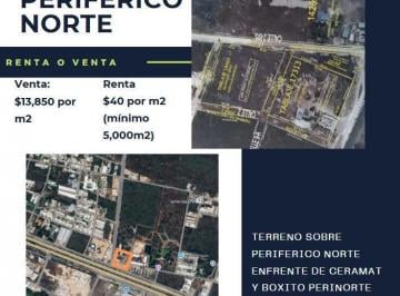 Terreno / Lote · Terreno en Venta en Periférico Norte, Santa Gertrudis Copó, Mérida Yucatán