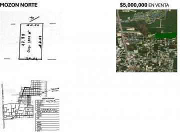 Terreno / Lote · 1000m² · Terreno en Venta en Temozón Norte, Mérida Yucatán