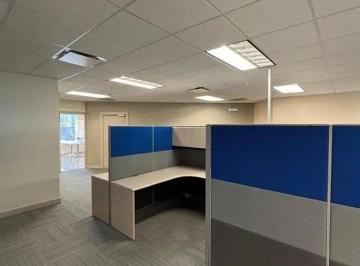 Oficina , San Pedro Garza García · Renta de Oficinas en Av Roble en San Pedro Graza Garcia