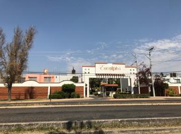 Casa · 161m² · 3 Recámaras · Compra Casa Al Poniente a 5 Min de La Feria de San Marcos en Eucaliptos Amk 1