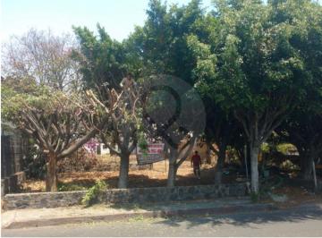 IMG_5871.jpeg · Terreno Comercial en Renta en San Cristóbal