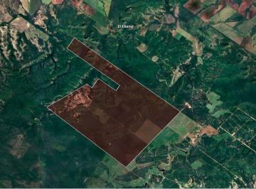 Terreno / Lote , Montemorelos · Venta de Terreno en Montemorelos 1,049 Hectáreas