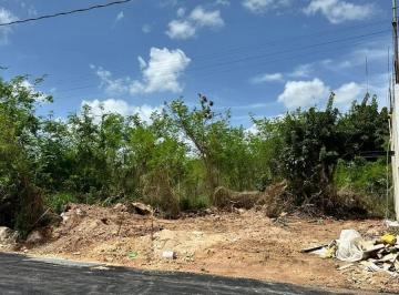 1 · Terreno en Renta en Conkal en Mérida Yucatán