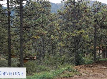 Terreno / Lote · 1804m² · Terreno en Monterreal, Sierra de Arteaga Coahuila