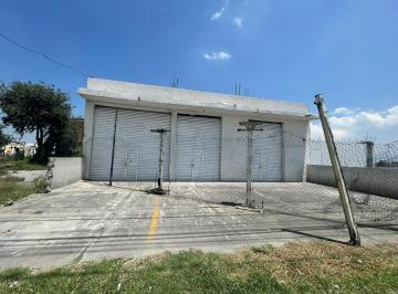 Local comercial · Locales en Renta