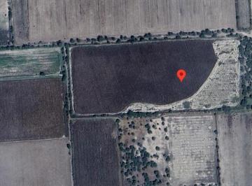 Terreno comercial · 50050m² · Terreno Agricola en Venta en Poanas Durango - (4)