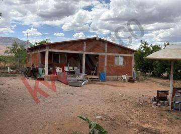 N/A · Bonita Granja en Venta, Cuenta con Casa y Nogales en Producción, con Los Servicios Básicos, Ubicada