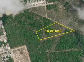 Terreno / Lote , Mérida · Terreno de 1.4 Hectáreas en Venta Al Norte de La Ciudad de Mérida, Yucatán