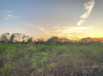 Terreno / Lote · 1000m² · Terreno de Oportunidad en Venta Cerca de Xibalbá Xcaret