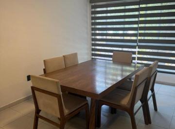 Departamento en Renta totalmente remodelado en Coyoacán · Departamento en Renta Totalmente Remodelado en Coyoacán