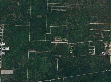 Terreno / Lote · 1575m² · Lotes en Venta en Dzildzilche Al Norte de Mérida