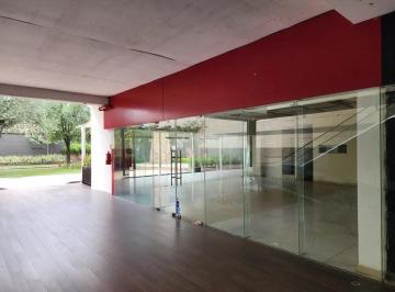 1 · Local Comercial en Renta - Spgg (Mtto E Iva Incluido)