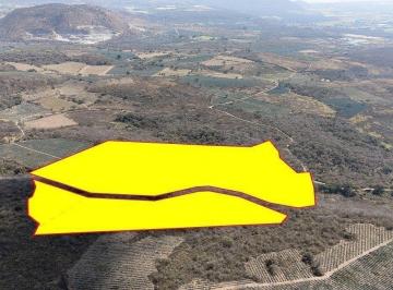 397de9b0dcc6523886b32eb89782a1766d4a3d62fdcae65646155ea3ac16bda4 · Acatlán Terreno de 10 Ha en Venta