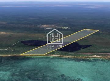 Terreno / Lote · 1120000ha · Terreno en Venta en Mahahual 112 Hectáreas Frente Al Mar Para Proyecto Turistico Hoteles Resorts