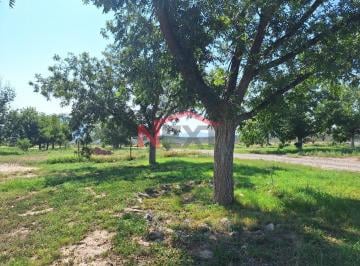 Foto principal · Terreno Campestre con Nogales en Fracc. Rincón de Arsentales