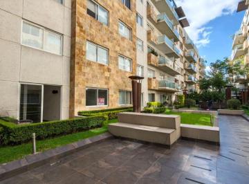Departamento de 2 habitaciones, Coyoacán · Departamento en Renta en Planta Baja con Terrazas y Vista a Área Verde