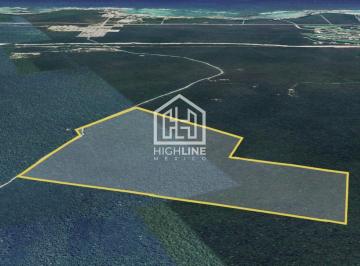 Terreno / Lote · 900000ha · Terreno en Venta Macrolote Oportunidad Precio Rebajado 90 Hectáreas 10 Minutos del Mar Caribe