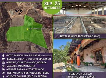 Terreno / Lote · 250000m² · 8 Estacionamientos · Rancho Ganadero Operando en Venta con Excelentes Instalaciones Sup. 25 Hectáreas.