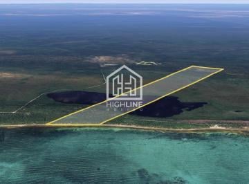 Terreno / Lote · 112ha · Terreno en Venta en Mahahual 112 Hectáreas Frente Al Mar Para Proyecto Turistico Hoteles Resorts