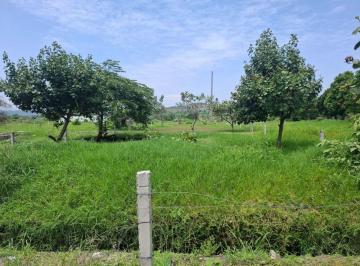 Terreno / Lote , Ayala · Terreno de 332 m² en Venta en Rafael Merino, Ayala Morelos