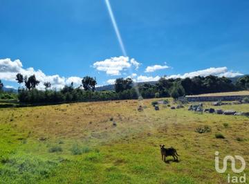 Terreno / Lote · 8600m² · Terreno en Venta Tenango del Valle 8600 m²
