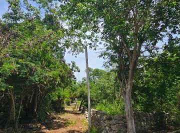 Terreno / Lote , Mérida · Terreno en Venta en Chichí Suárez, Mérida