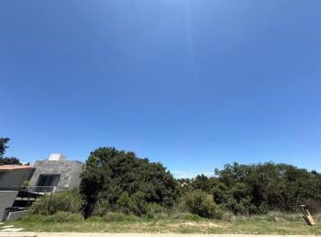 Terreno / Lote · 1154m² · Terreno de Lujo en Rancho San Juan