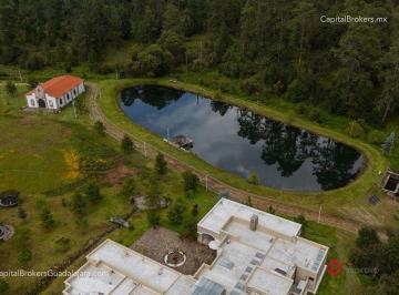 d7c15cc6b3435b5cdfb5d76d25fbaa27150870c19ddc209f464e7d7b12e8772b · Hacienda de Lujo en Venta en Jalisco | Lago Entre Pinos