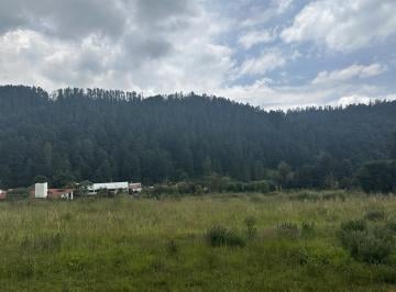 Terreno / Lote · 5300m² · Terreno en Cañada de Alferez